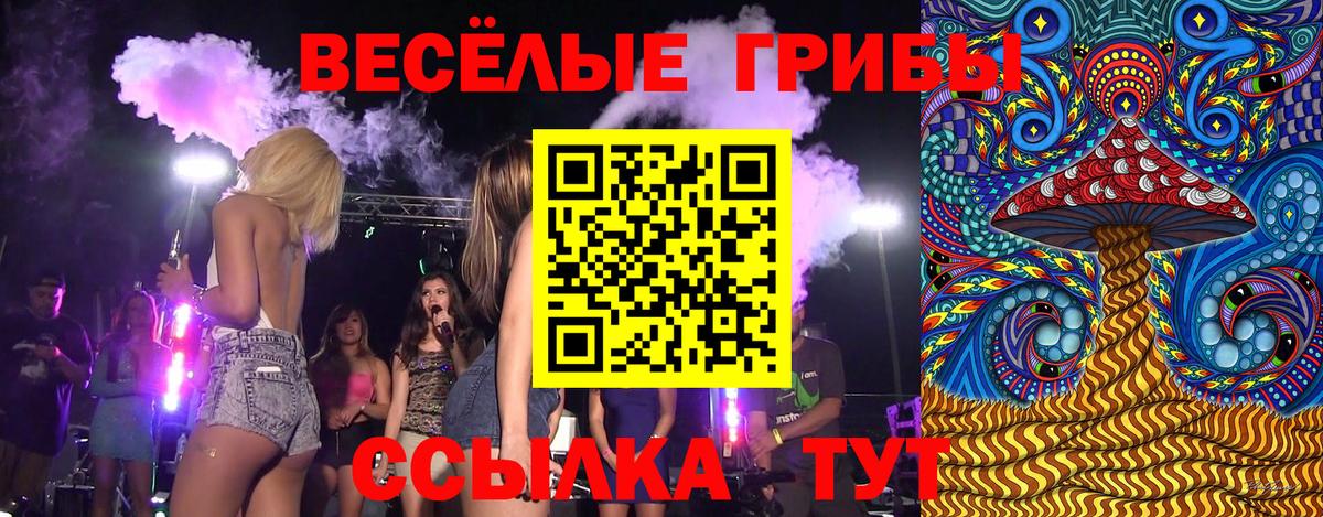 хочу   Вход с VPN  Семёнов  Галлюциногенные грибы мухоморы  Псилоцибиновые грибы Cubensis 