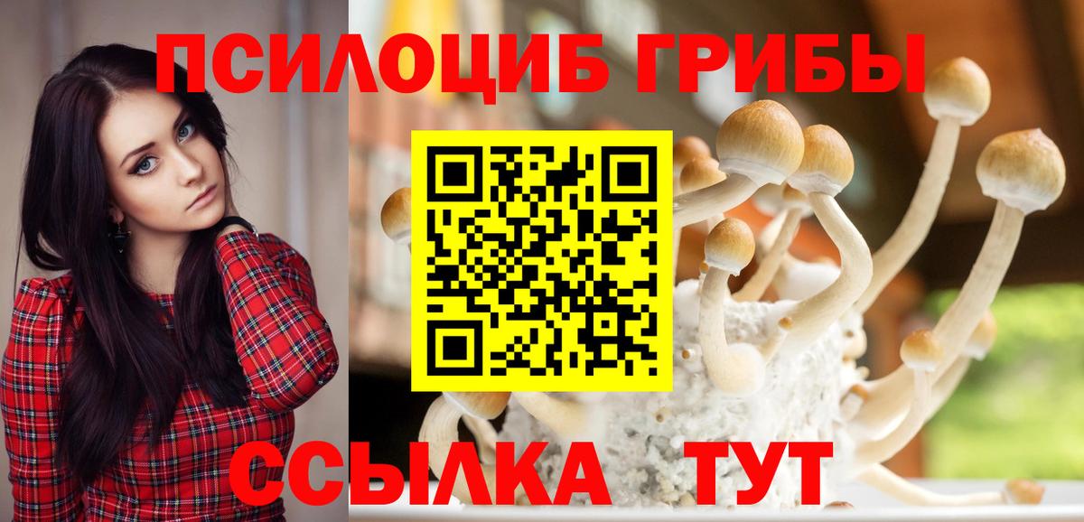 Псилоцибиновые грибы мухоморы Семёнов